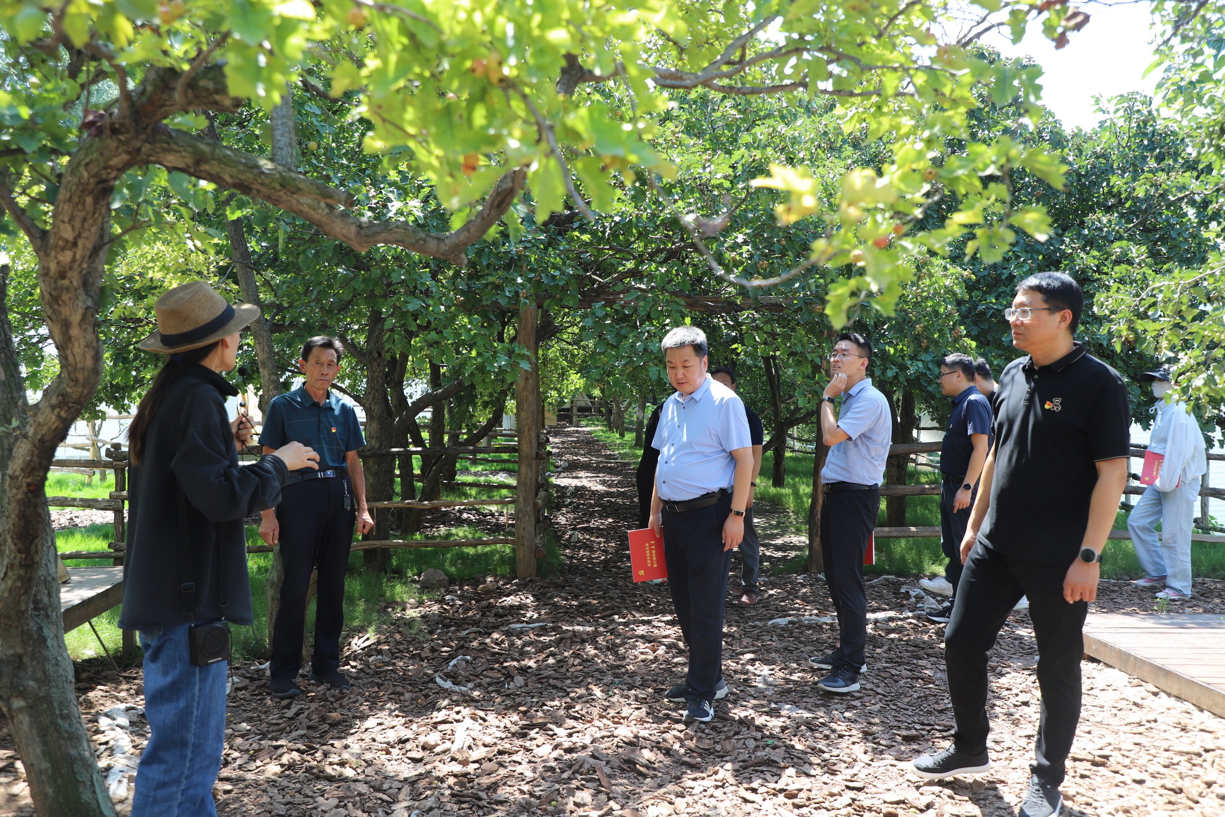 原庄村·乡村风光